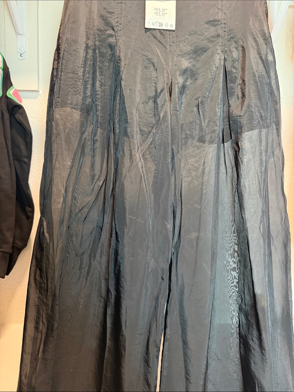 Zara Semi Sheer Pants - Picture 4 of 4